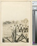 Sisal workers and plant, Mozambique, ca.1930