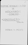 Comité Revolucionário de Moçambique (COREMO) - Constituição