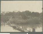 Temporary bridge, Cabo Delgado, Mozambique, May 1918