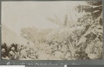 Rest stop, Cabo Delgado, Mozambique, April-July 1918