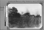 Sisal plantation, Rutenganio, Tanzania, ca.1908-1910