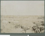British column returning north, Cabo Delgado, Mozambique, August 1918