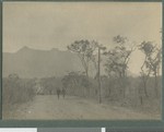 Troop column on the road, Cabo Delgado, Mozambique, August 1918