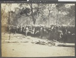 Building a long hut, Cabo Delgado, Mozambique, April 1918