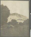 Hut on hillside, Cabo Delgado, Mozambique, April-July 1918