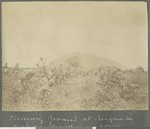 Clearing ground for hospital camp, Ancuabe, Mozambique, March-April 1918