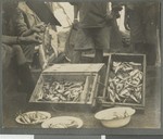Fish killed by mortar rounds, Cabo Delgado, Mozambique, 1918