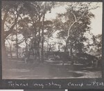 Long-stay camp, Cabo Delgado, Mozambique, April 1918